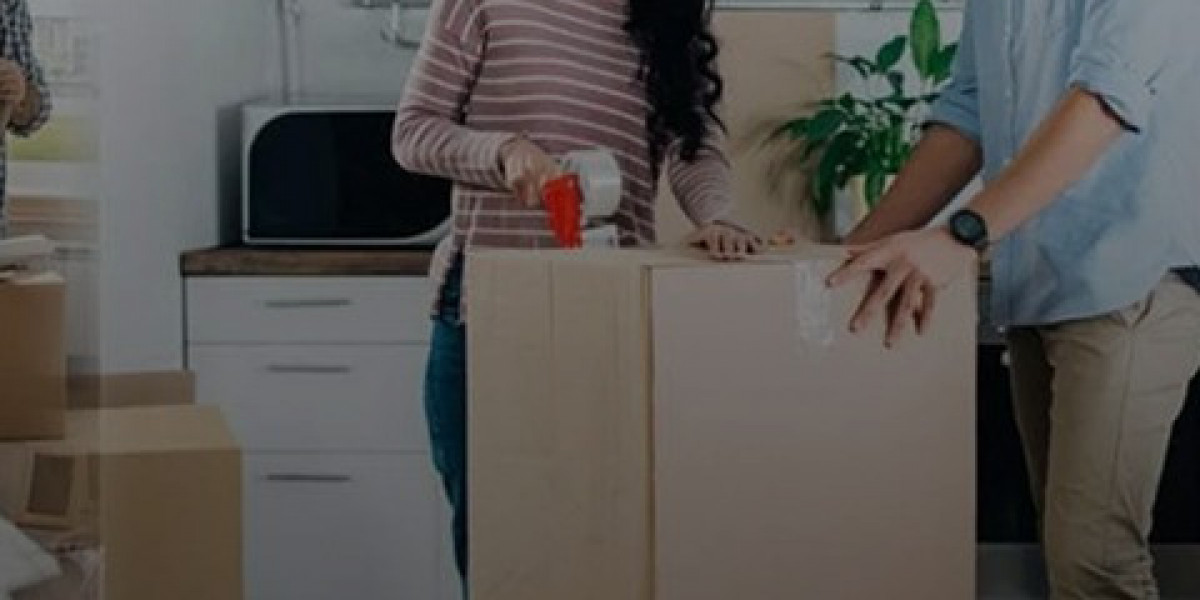 Article Picture