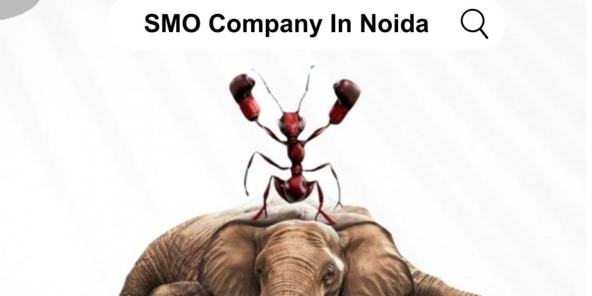 Elevate Your Digital Authority with the best Content Writing Company In Noida