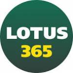 loutas 365 Profile Picture