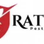Rattic Pest Control Profile Picture