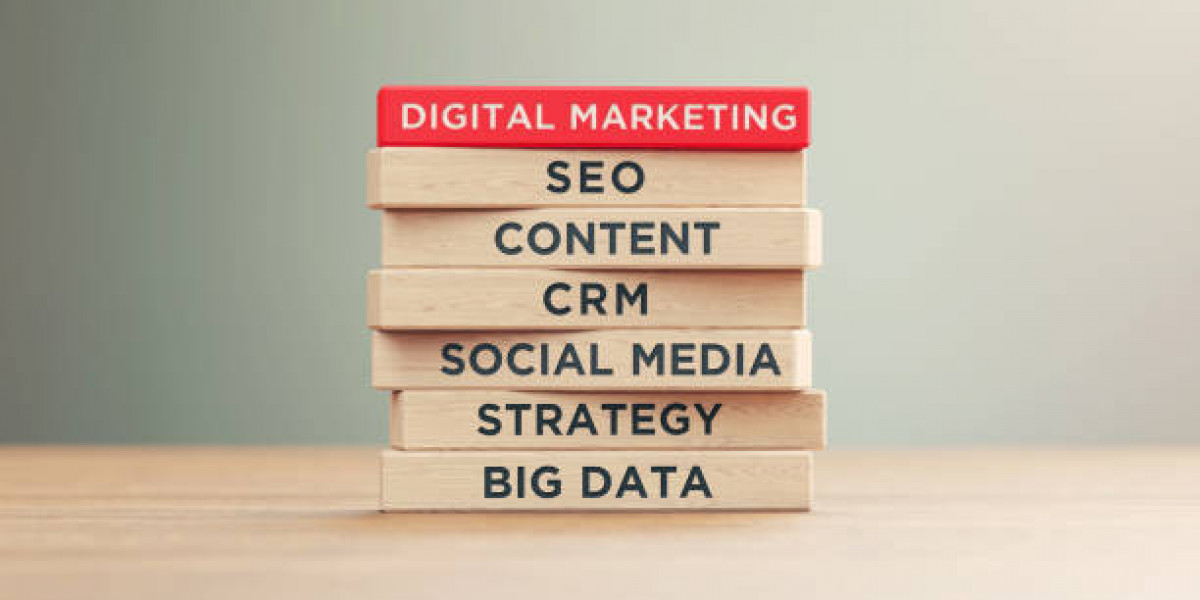 Strengthen Your Online Presence with Local SEO and Digital Marketing in New Zealand