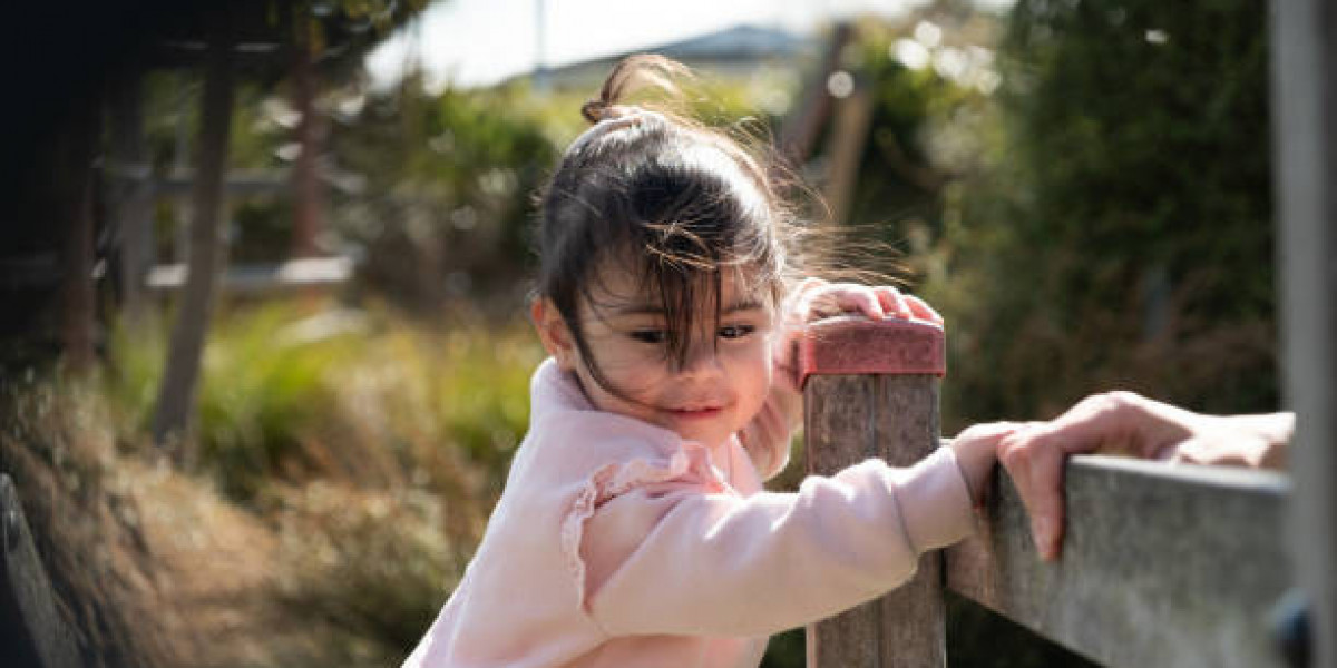 The Importance of Choosing the Right Kindergarten Auckland Families Trust