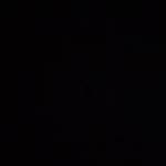 Night Elite Profile Picture