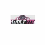 Wolf 777 Profile Picture
