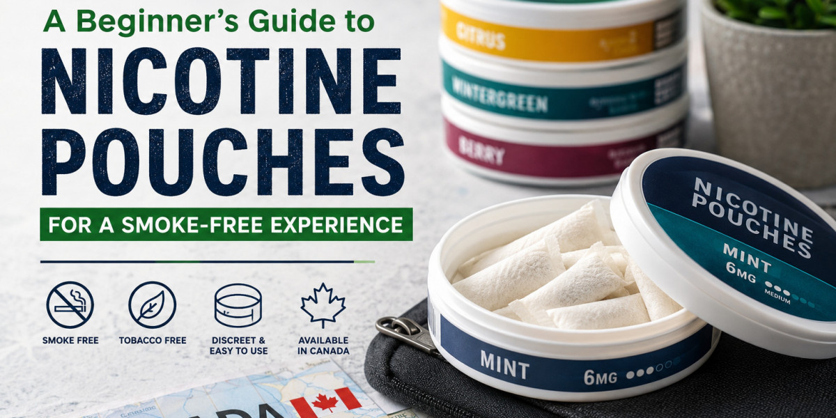 A Beginner’s Guide to Choosing Nicotine Pouches for a Smoke-Free Experience