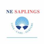 Ne Saplings Profile Picture