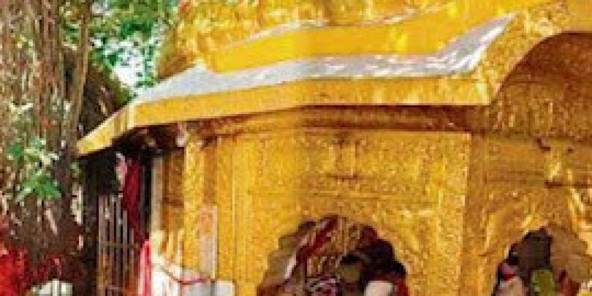 Article Picture