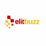 ElitBuzz Technologies Ltd Profile Picture