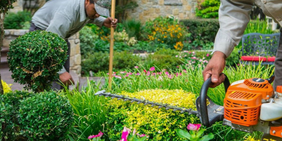Professional Landscaping Service Fort Worth TX | Expert Landscape Solutions