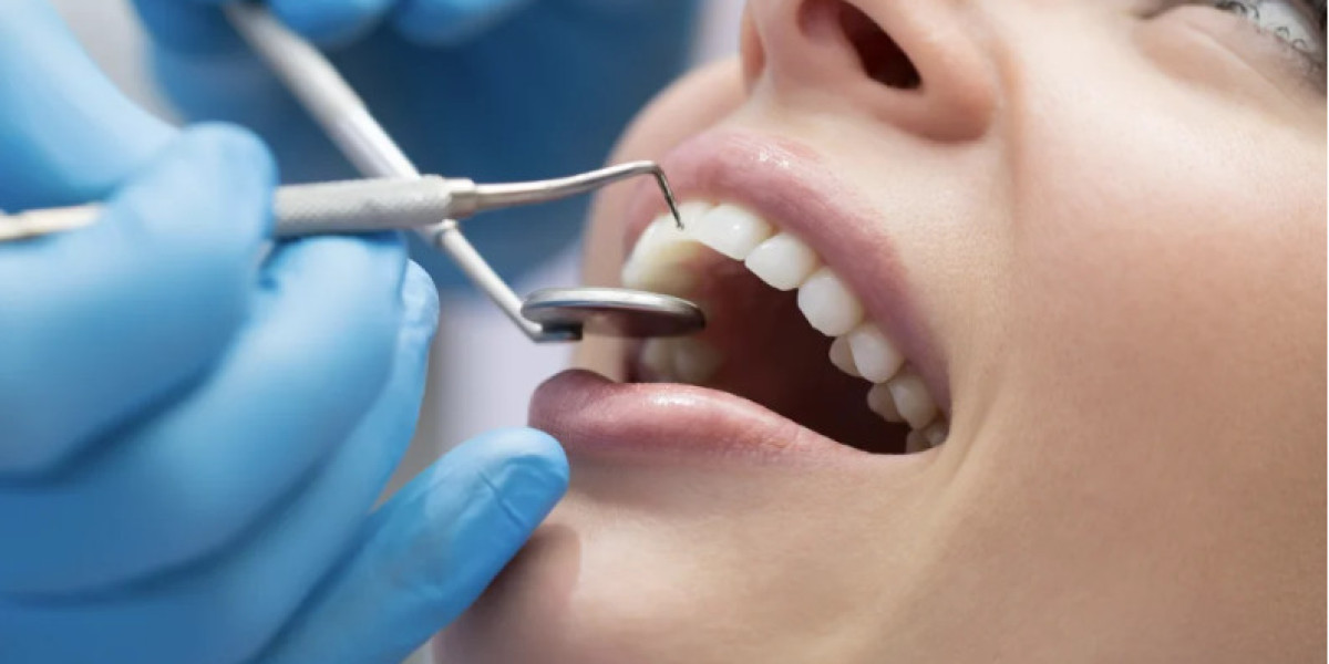 Family Dentist Arlington MA Trusted Dental Support for Every Generation